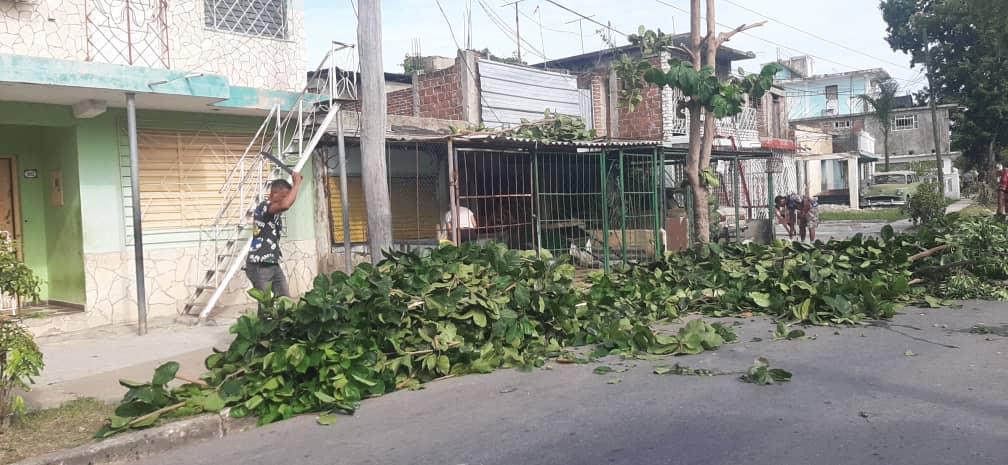 Poda de árboles en Santiago ante la proximidad del Huracán Melissa / Miguel Amado Noa Menéndez
